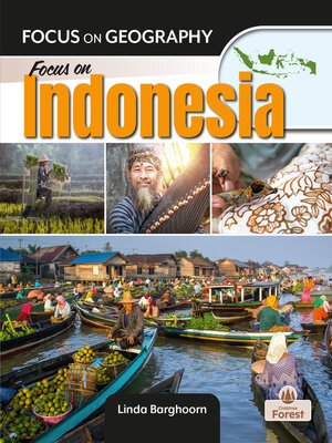 cover image of Focus on Indonesia